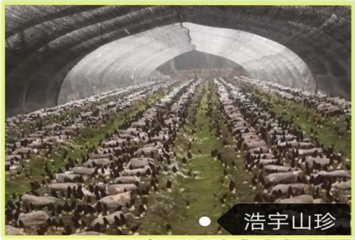 &#20048;&#40060;&#32593;&#39029;&#29256;&#30331;&#24405;&#20837;&#21475;&#45;&#20048;&#40060;&#40;&#20013;&#22269;&#41;