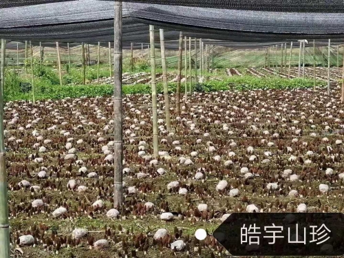 &#20048;&#40060;&#32593;&#39029;&#29256;&#30331;&#24405;&#20837;&#21475;&#45;&#20048;&#40060;&#40;&#20013;&#22269;&#41;