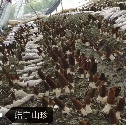 &#20048;&#40060;&#32593;&#39029;&#29256;&#30331;&#24405;&#20837;&#21475;&#45;&#20048;&#40060;&#40;&#20013;&#22269;&#41;