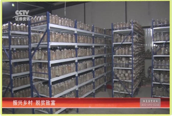 &#20048;&#40060;&#32593;&#39029;&#29256;&#30331;&#24405;&#20837;&#21475;&#45;&#20048;&#40060;&#40;&#20013;&#22269;&#41;