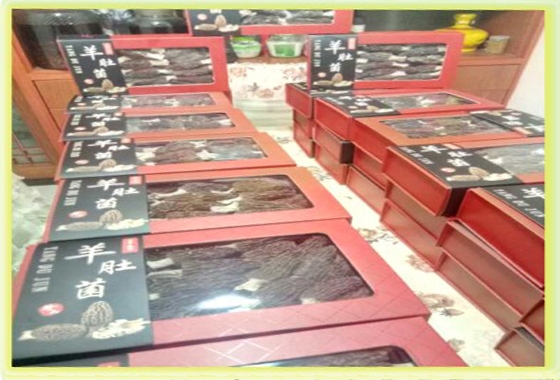 &#20048;&#40060;&#32593;&#39029;&#29256;&#30331;&#24405;&#20837;&#21475;&#45;&#20048;&#40060;&#40;&#20013;&#22269;&#41;