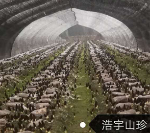 &#20048;&#40060;&#32593;&#39029;&#29256;&#30331;&#24405;&#20837;&#21475;&#45;&#20048;&#40060;&#40;&#20013;&#22269;&#41;
