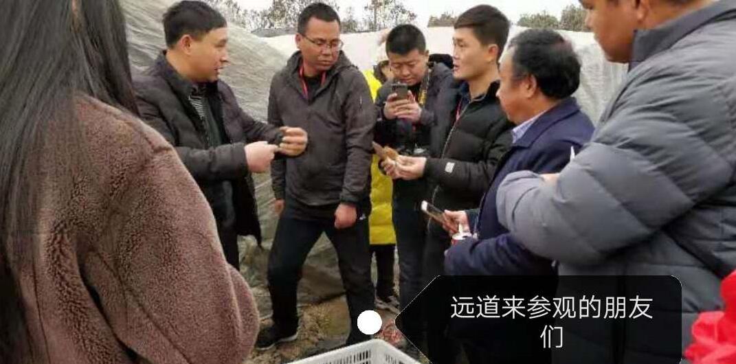 &#20048;&#40060;&#32593;&#39029;&#29256;&#30331;&#24405;&#20837;&#21475;&#45;&#20048;&#40060;&#40;&#20013;&#22269;&#41;