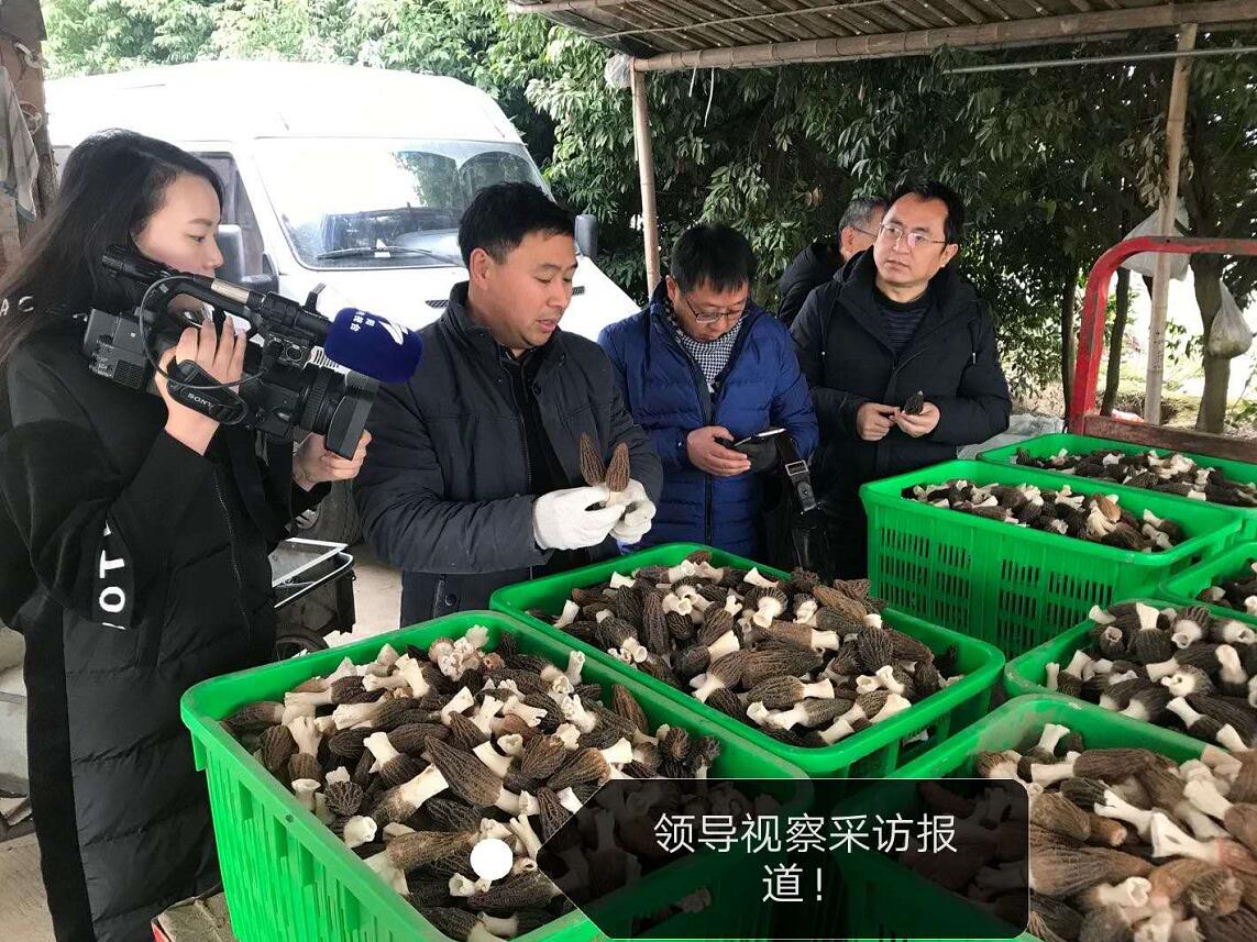 &#20048;&#40060;&#32593;&#39029;&#29256;&#30331;&#24405;&#20837;&#21475;&#45;&#20048;&#40060;&#40;&#20013;&#22269;&#41;
